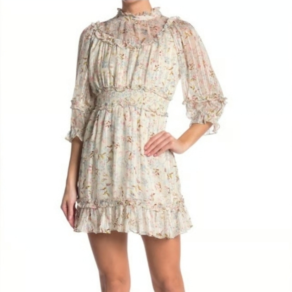 Walter Baker Dress Betsy Dress XL NWT